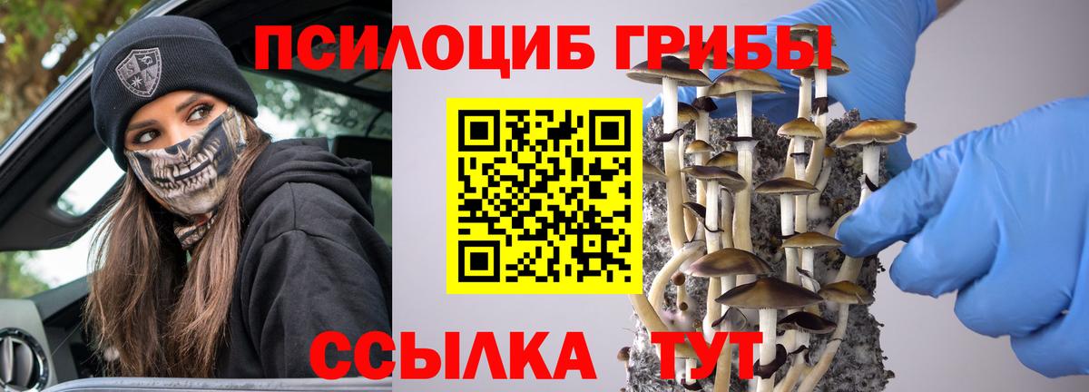 Псилоцибиновые грибы Cubensis  Вход с VPN  Королёв  Галлюциногенные грибы GOLDEN TEACHER 